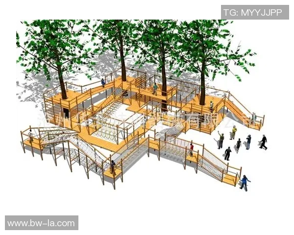 南京攀岩队配合分析与其他队伍表现的深度对比研究