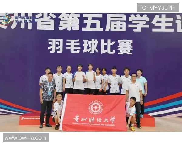 南京羽毛球队的精神风貌与发展历程探讨